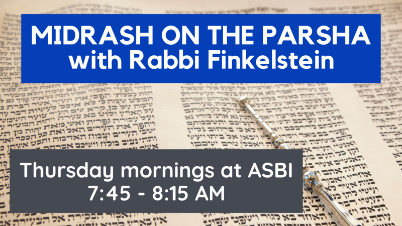 Banner Image for Midrash on the Parsha with Rabbi Finkelstein